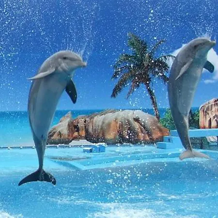 Appartamento Beautiful 2-bed In Olhos De Agua *